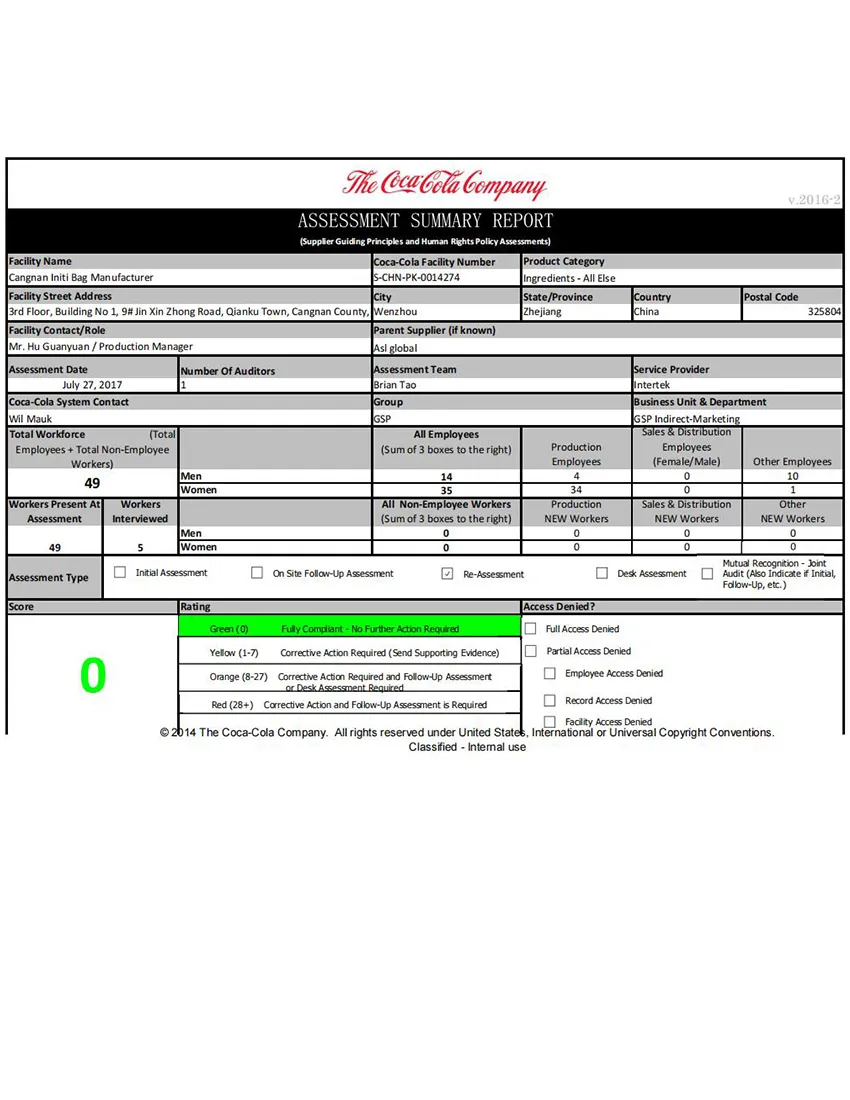Coca Cola Audit
