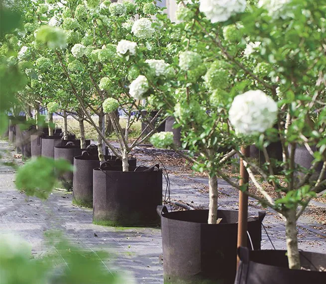 applications of garden bags