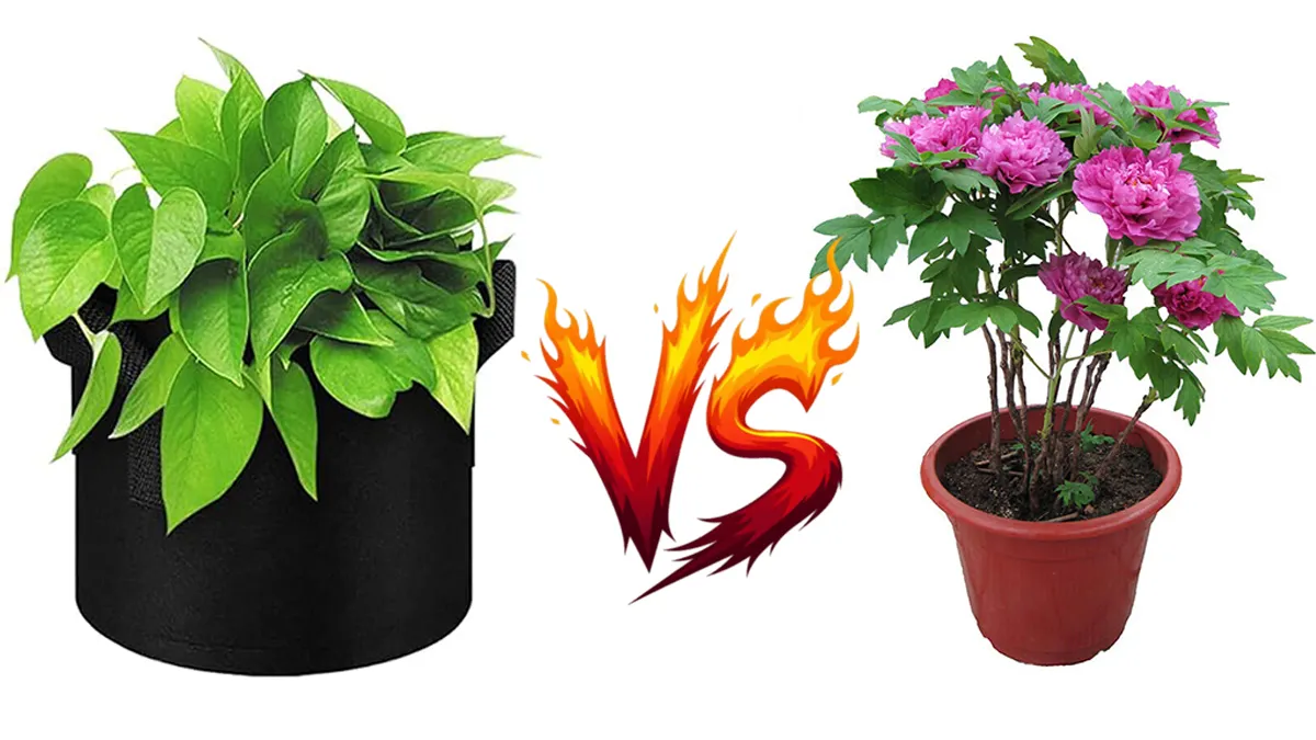 are grow bags better than pots