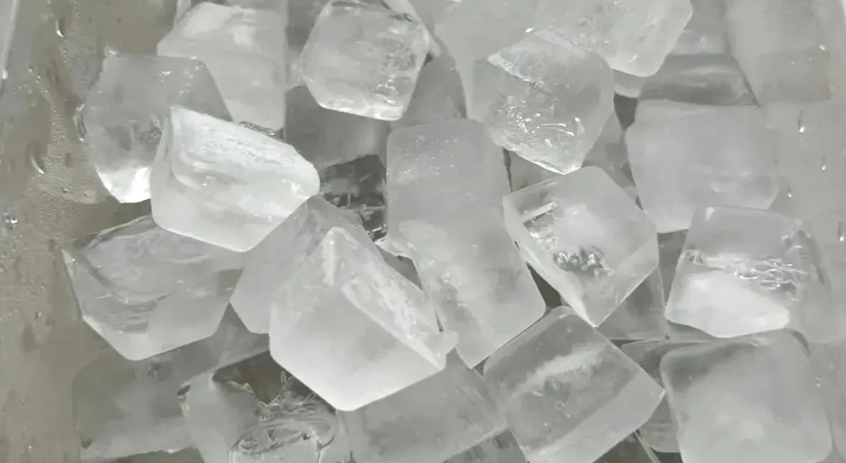 can you put ice in a cooler bag