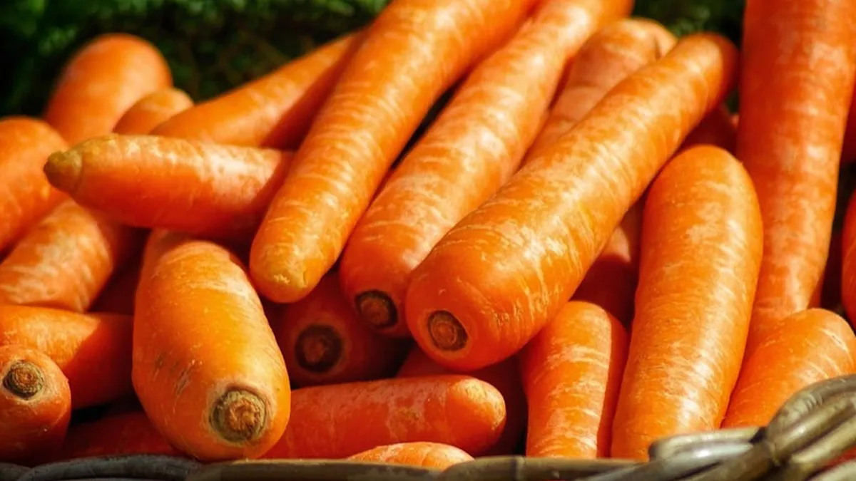 carrots
