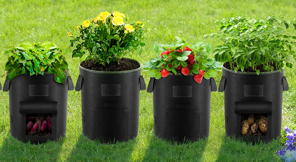 do grow bags need drainage holes (2)