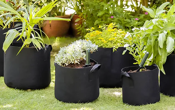 grow bags types