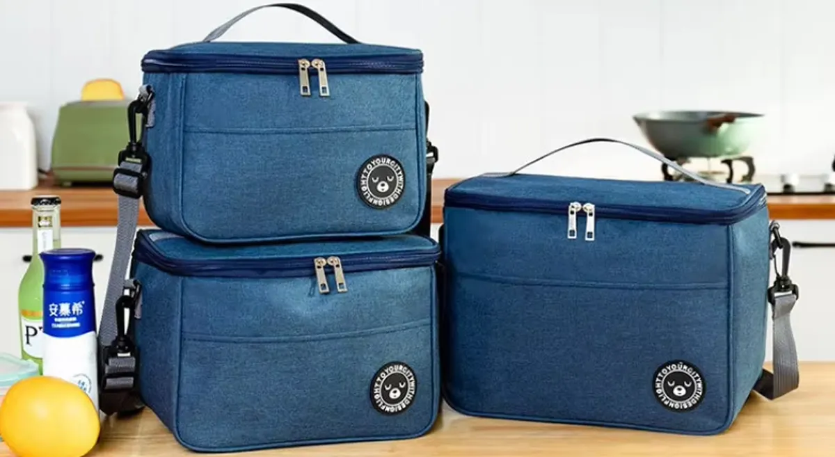 how to carry a lunch bags