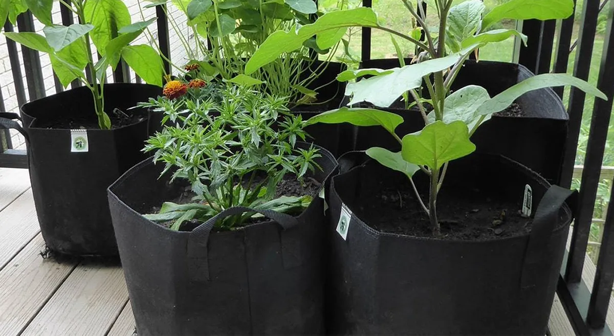 how to clean grow bags