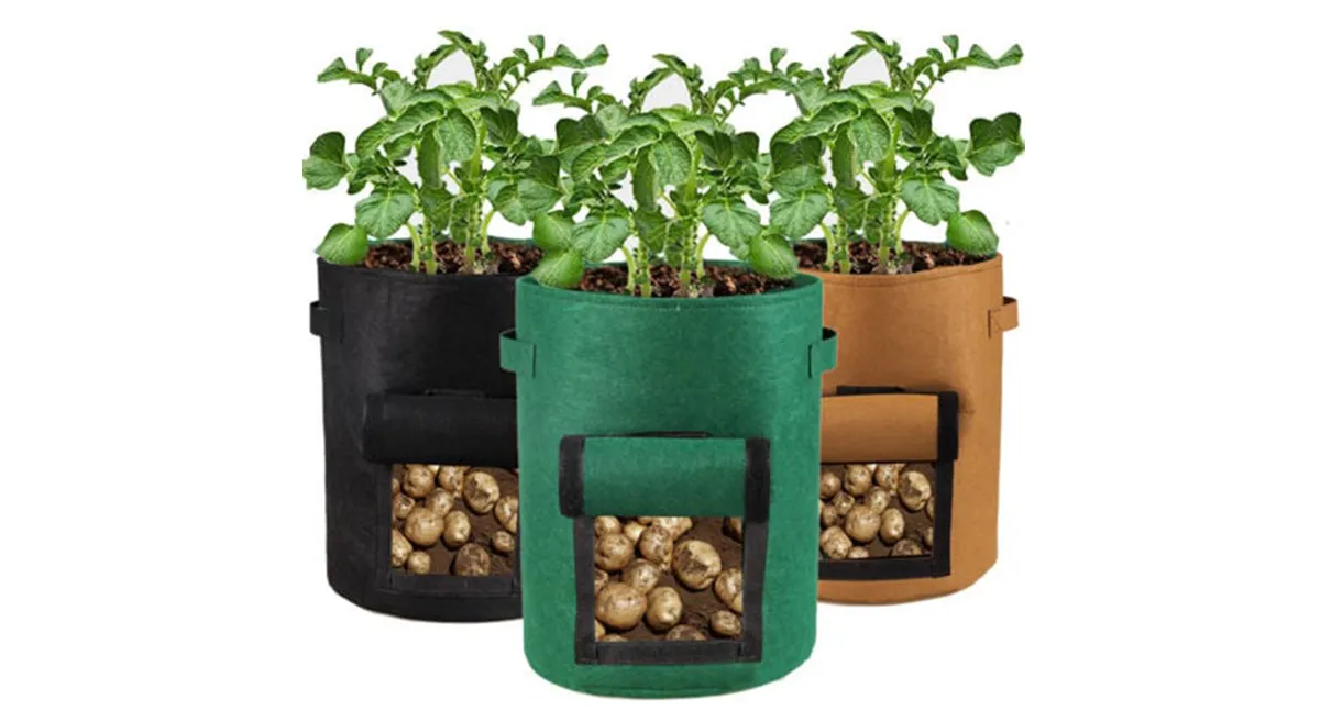how to plant seed potatoes in grow bag