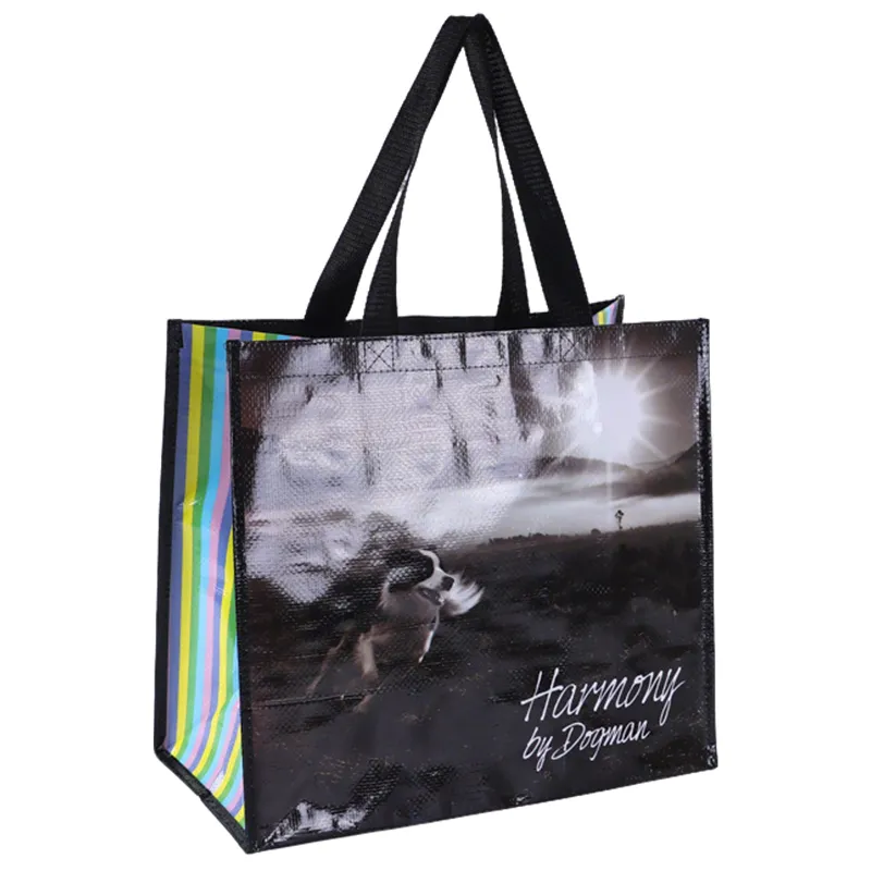 matte laminated non woven bag