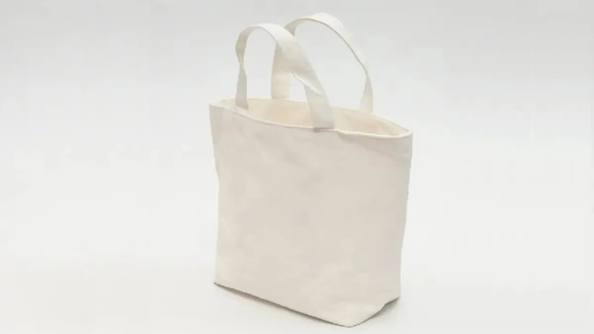 what are tote bags used for (2)