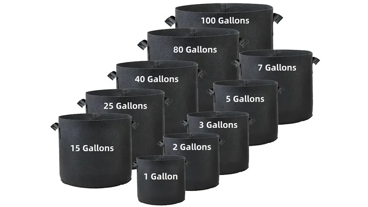 what size grow bags for carrots