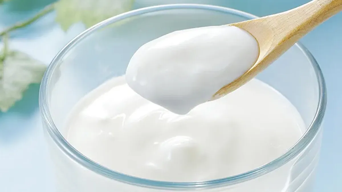 how long can yogurt stay in a cooler bags