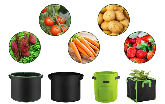 tomato grow bags