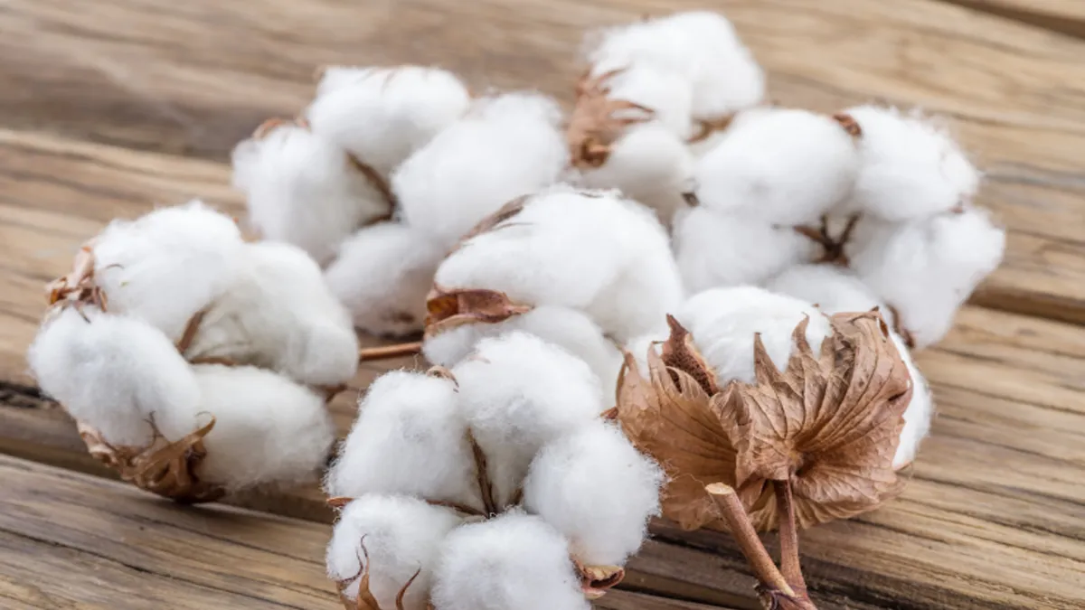 what is cotton