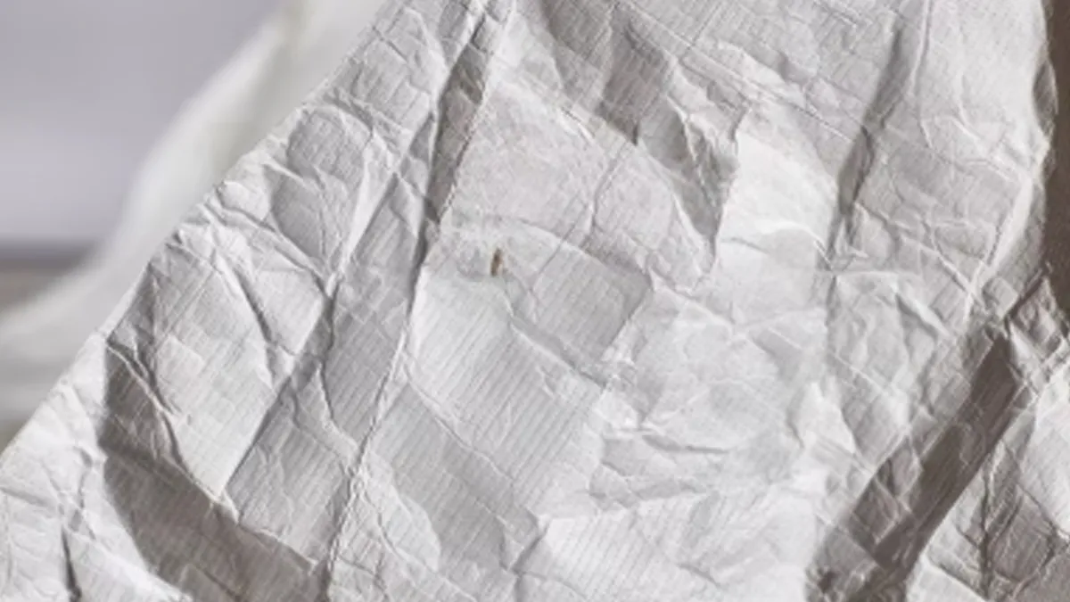 what is tyvek