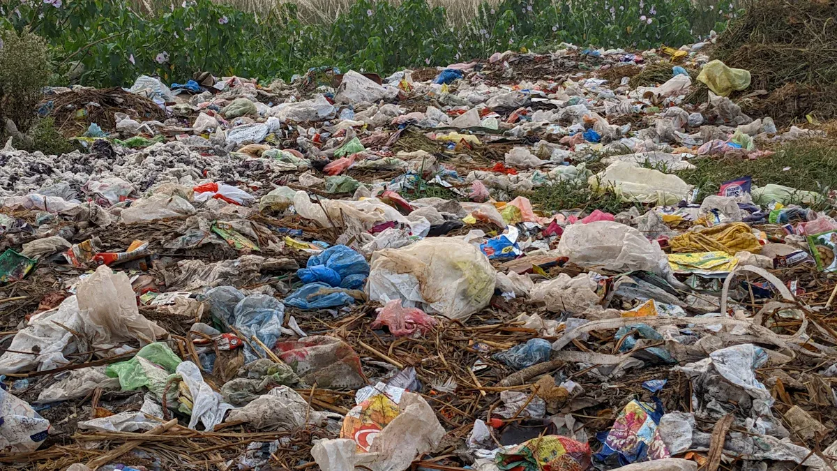 environmental impact