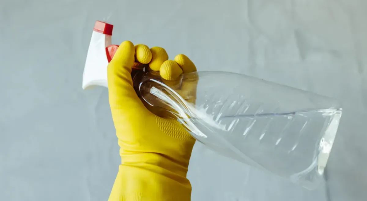 remove dirt and mold