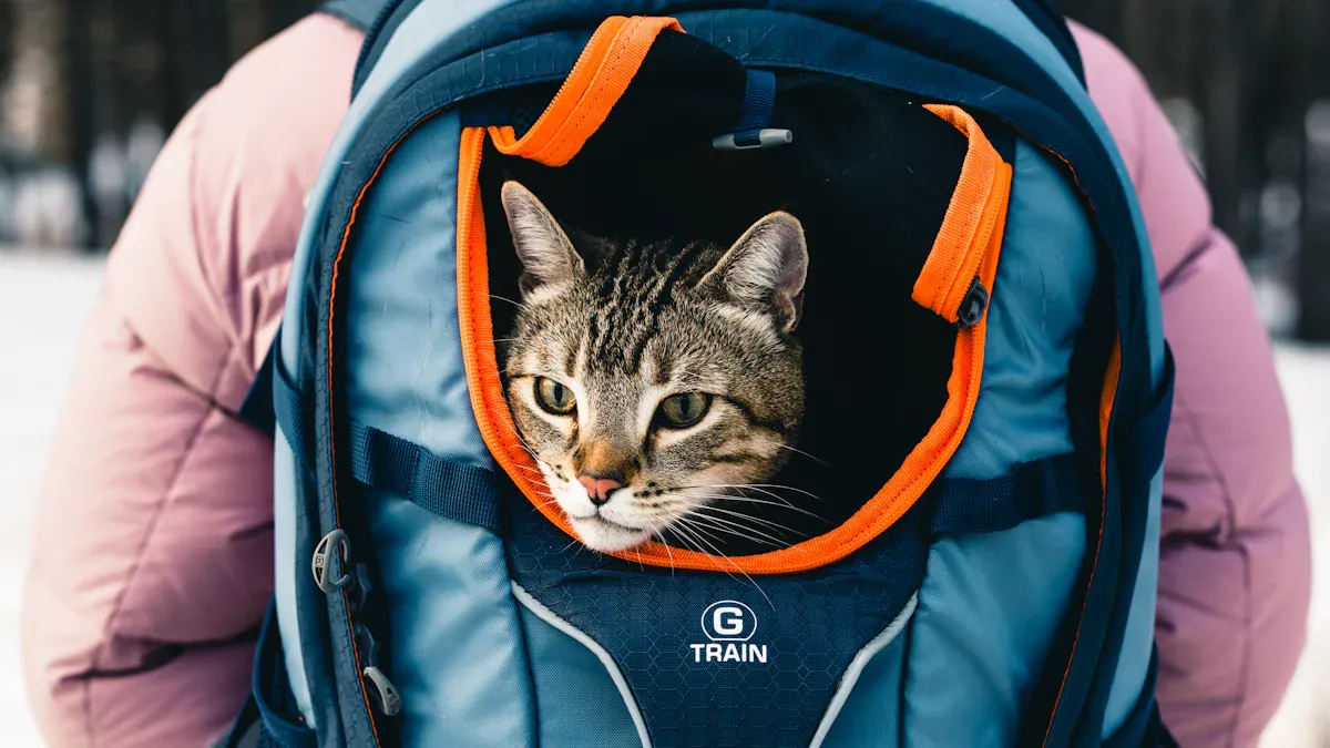 types of cat backpacks