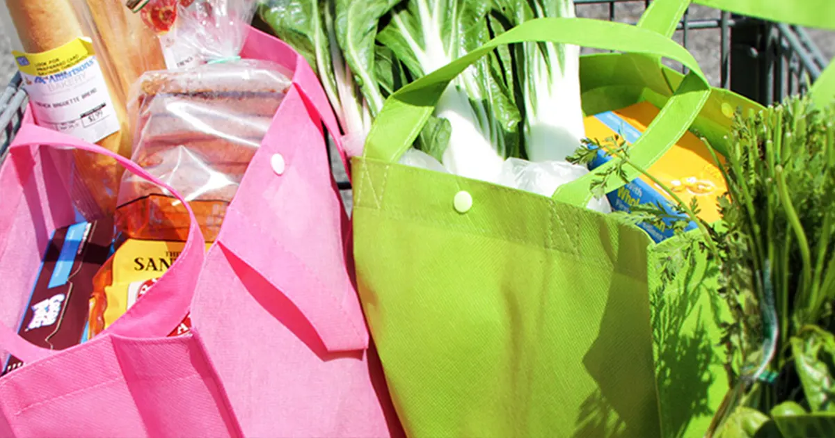 comparing reusable bag materials which best you