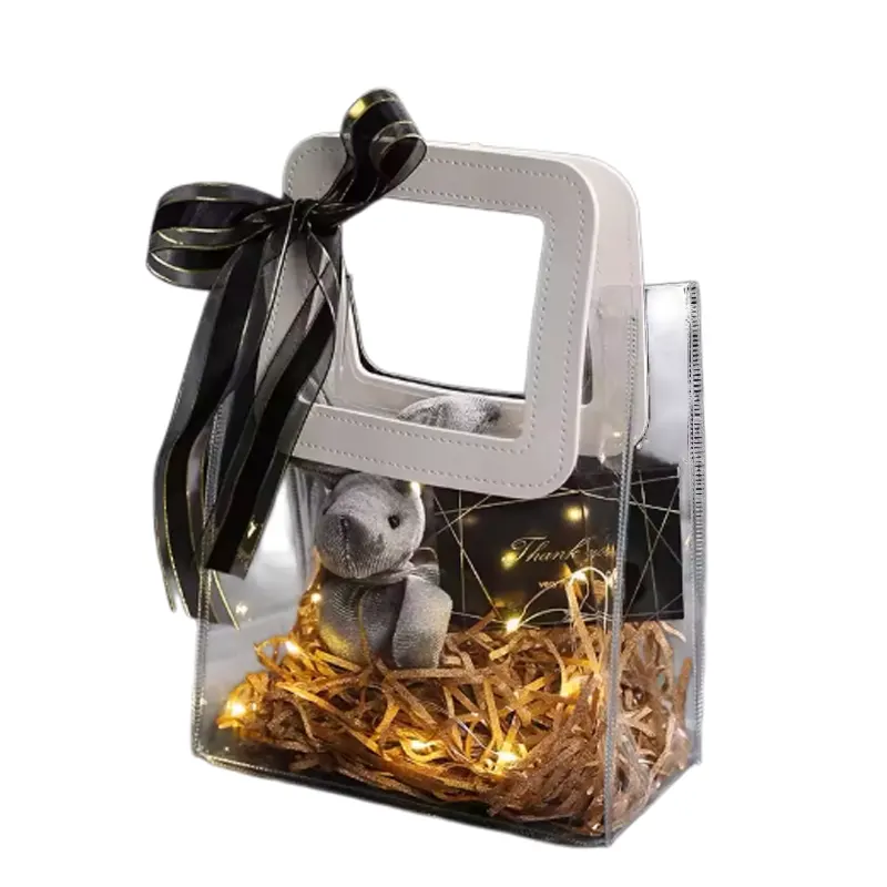 transparent mini tote bag